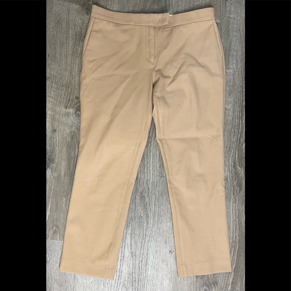 Ann Taylor Dress Capris
